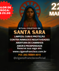 💙✨ RITUAL COLETIVO DE SANTA SARA KALI – 2026 ✨💙